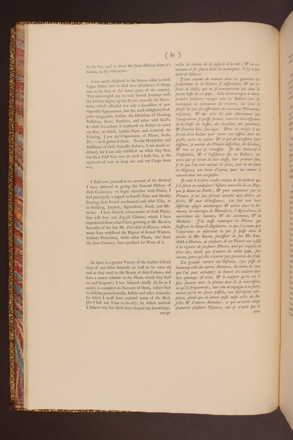 Page iv